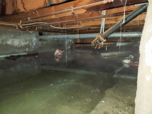 Best 24-hour water damage restoration  in Franklinton, NC