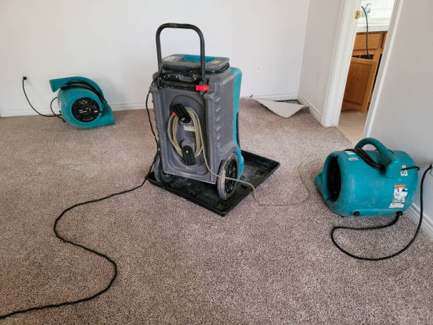 Best Fire Damage Restoration  in Franklinton, NC