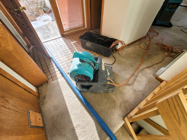 Best 24-hour water damage restoration  in Franklinton, NC