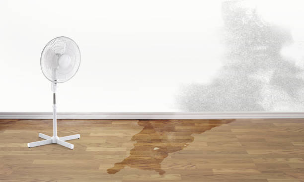 Best Water damage restoration near me  in Franklinton, NC