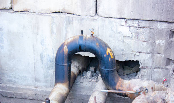 Best Flood damage cleanup  in Franklinton, NC